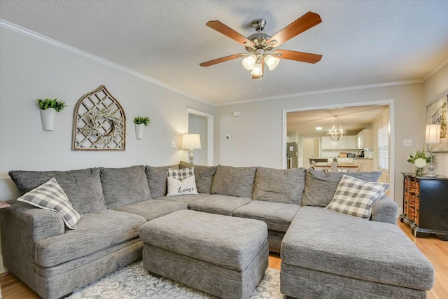 living room with crown molding, ceiling fan with notable chandelier, light wood-type flooring, and a textured ceiling