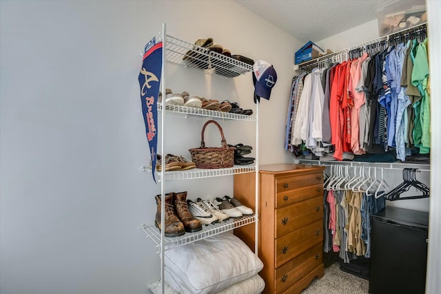 walk in closet featuring carpet flooring