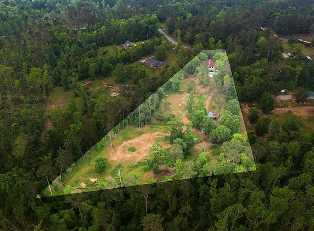 5114 Fairington Dr, Evans, GA 30809 - drone / aerial view with a forest view