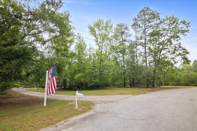 5114 Fairington Dr, Evans, GA 30809 - view of street with a view of trees