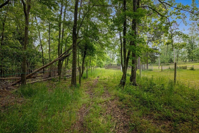 5114 Fairington Dr, Evans, GA 30809 - view of landscape