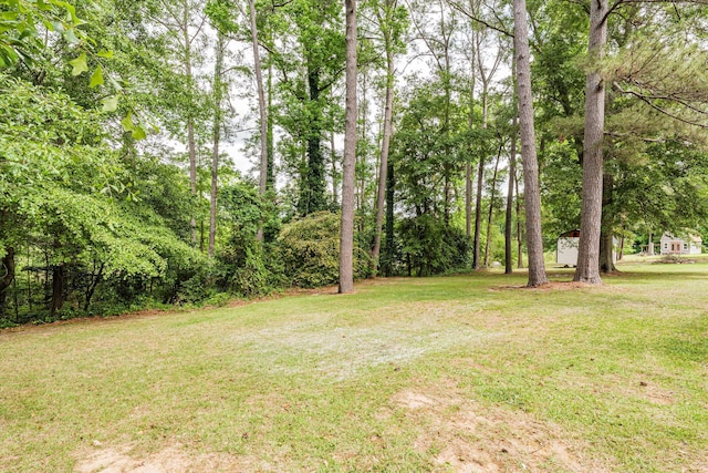 6 Shaddohill Pl, North Augusta, SC 29860 - photo 53