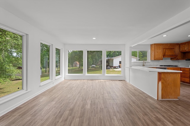 kitchen featuring plenty of natural light, light hardwood / wood-style floors, and kitchen peninsula