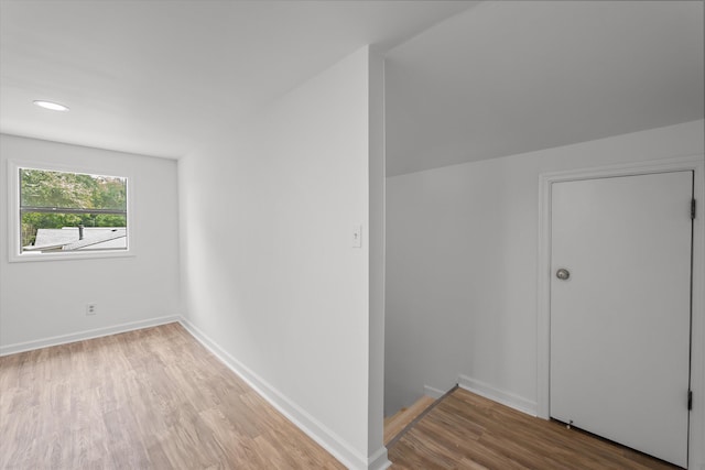 additional living space featuring wood-type flooring