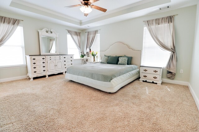 5553 Connor Dr, Evans, GA 30809 - bedroom with a raised ceiling, crown molding, multiple windows, carpet, and ceiling fan