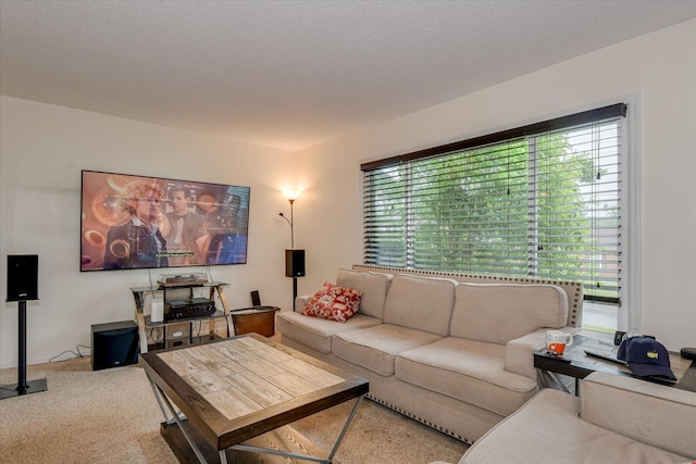 4056 Burning Tree Ln, Augusta, GA 30906 - view of carpeted living room