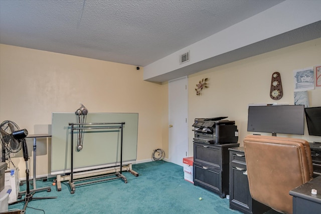 4056 Burning Tree Ln, Augusta, GA 30906 - office area with carpet, a textured ceiling, and baseboards