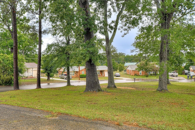 4056 Burning Tree Ln, Augusta, GA 30906 - view of home's community with a yard