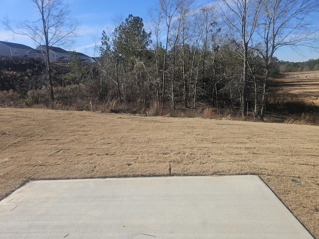 view of yard with a patio