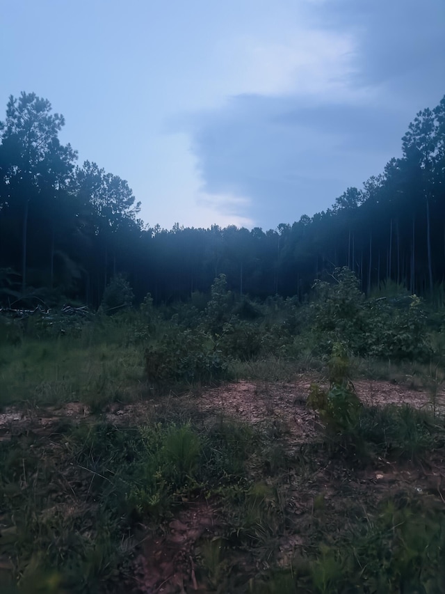 Listing photo 3 for LOT14 Wisteria Dr, Lincolnton GA 30817