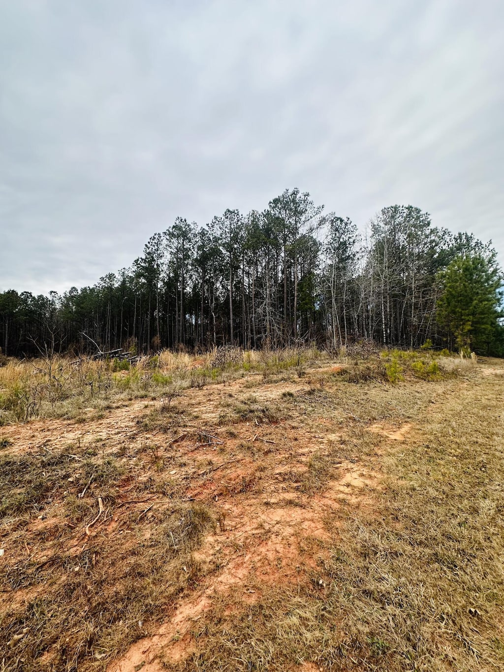 LOT14 Wisteria Dr, Lincolnton, GA 30817