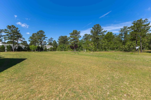 view of grassy yard