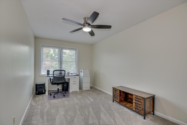 4533 Glenda Ln, Evans, GA 30809 - photo 27