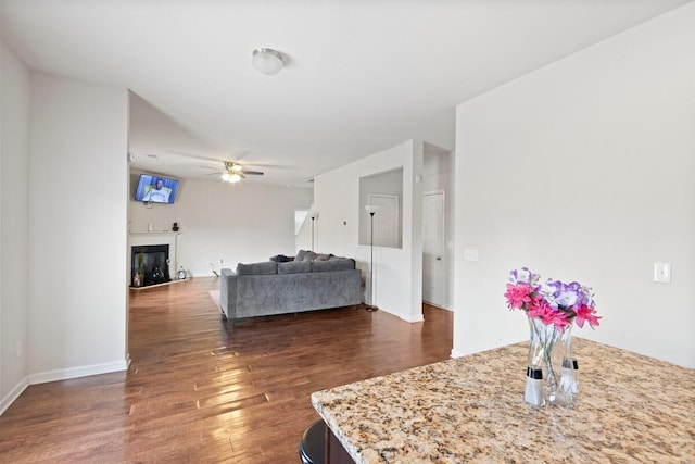 108 Sims Ct, Augusta, GA 30909 - living area with a ceiling fan, wood finished floors, and a glass covered fireplace