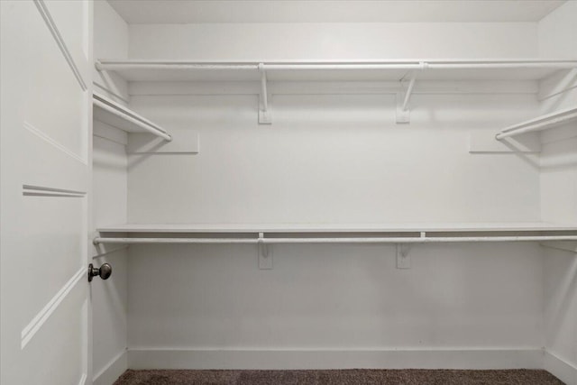 459 Sebastian Dr, Grovetown, GA 30813 - walk in closet featuring dark carpet