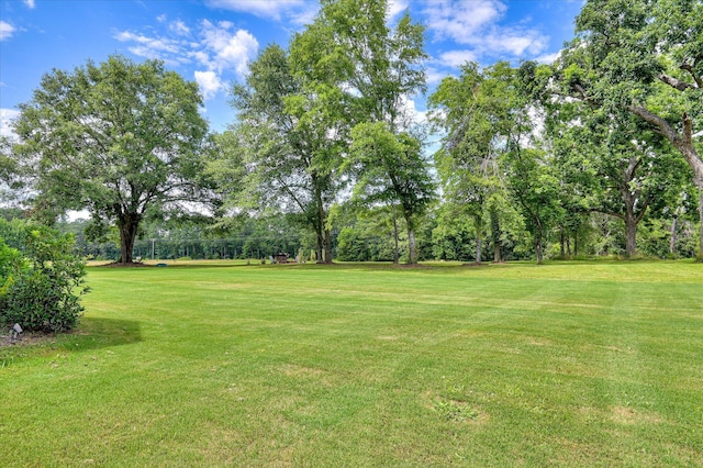 2550 Otts Ln, Harlem, GA 30814 - view of green lawn with view of scattered trees