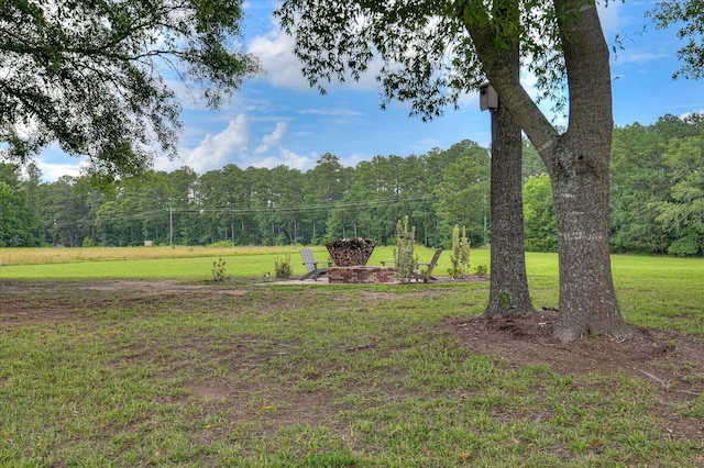 2550 Otts Ln, Harlem, GA 30814 - view of green lawn with a wooded view