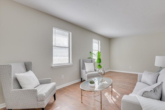 living room with wood-type flooring