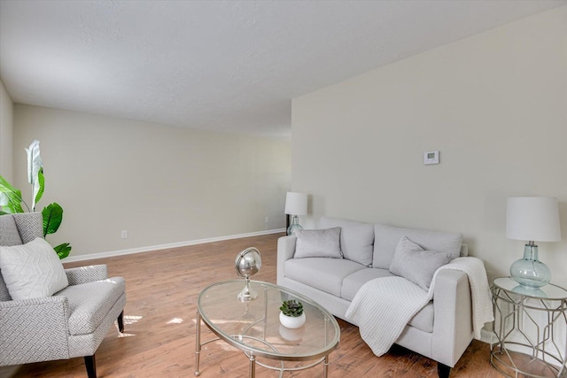 living room with hardwood / wood-style floors