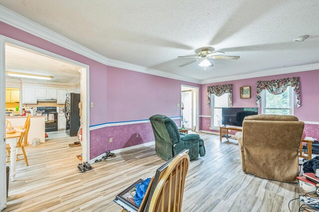 284 Mount Folly Rd, Augusta, GA 30907 - office space featuring a ceiling fan, ornamental molding, light wood finished floors, a textured ceiling, and baseboards