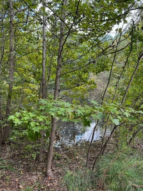 view of local wilderness with a water view