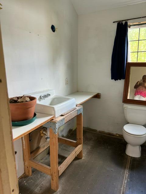 bathroom featuring toilet and sink