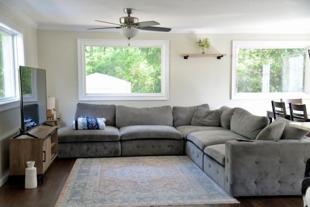 505 Ridgeland Dr, Sandersville, GA 31082 - living room featuring crown molding, a ceiling fan, and dark wood-style flooring