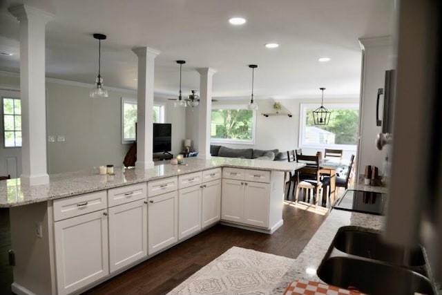 505 Ridgeland Dr, Sandersville, GA 31082 - kitchen featuring ornate columns, open floor plan, dark wood-type flooring, healthy amount of natural light, and crown molding