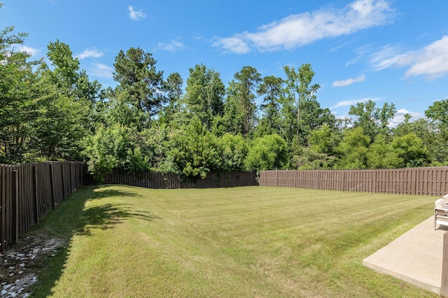 1206 Arcilla Pt, Martinez, GA 30907 - view of yard featuring a patio area