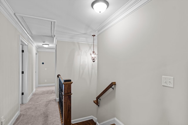 1206 Arcilla Pt, Martinez, GA 30907 - corridor with attic access, an upstairs landing, crown molding, carpet floors, and baseboards