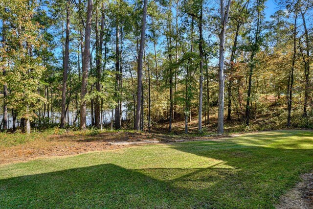 106 Bereau Dr, Mccormick, SC 29835 - view of grassy yard