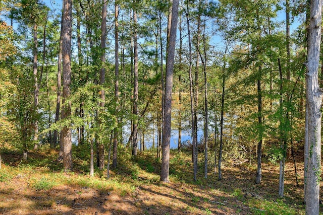 106 Bereau Dr, Mccormick, SC 29835 - photo 52