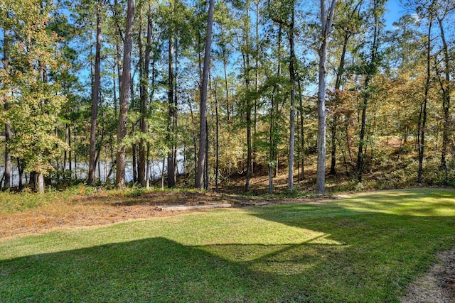 106 Bereau Dr, Mccormick, SC 29835 - view of grassy yard