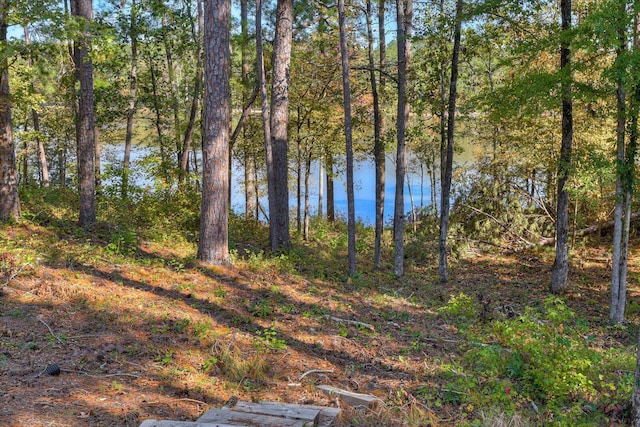106 Bereau Dr, Mccormick, SC 29835 - water view
