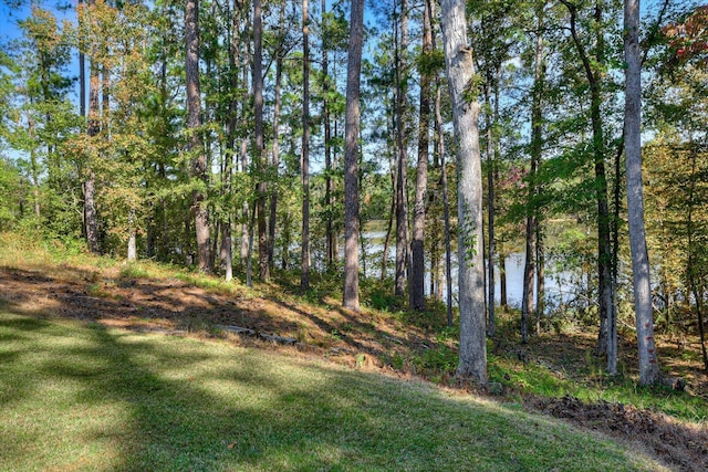 106 Bereau Dr, Mccormick, SC 29835 - photo 51