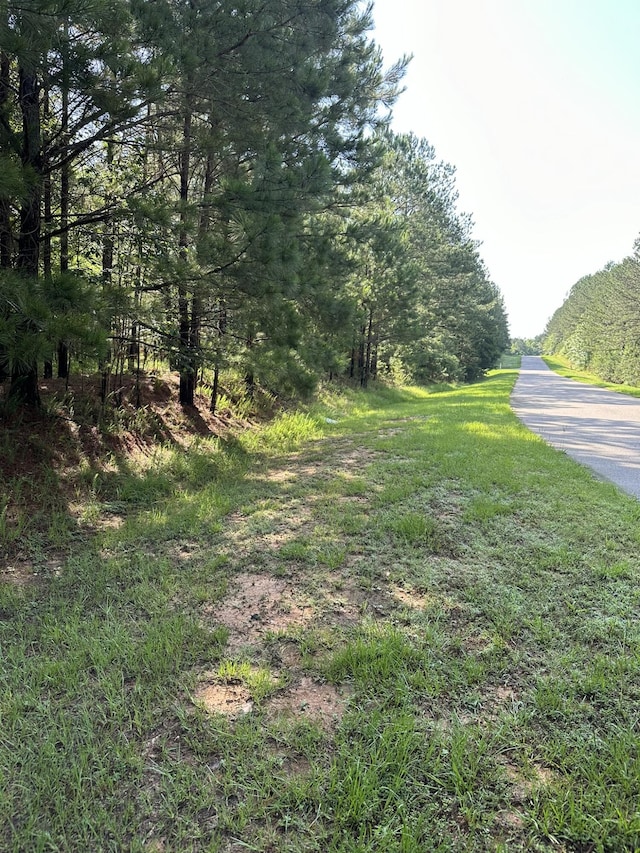 1108 Sunset Cv, Tignall, GA 30668 - photo 5