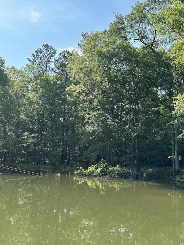 1108 Sunset Cv, Tignall, GA 30668 - photo 15