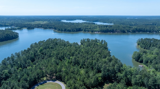 1108 Sunset Cv, Tignall, GA 30668 - photo 24