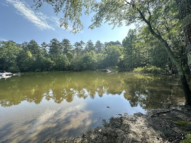 1108 Sunset Cv, Tignall, GA 30668 - photo 13