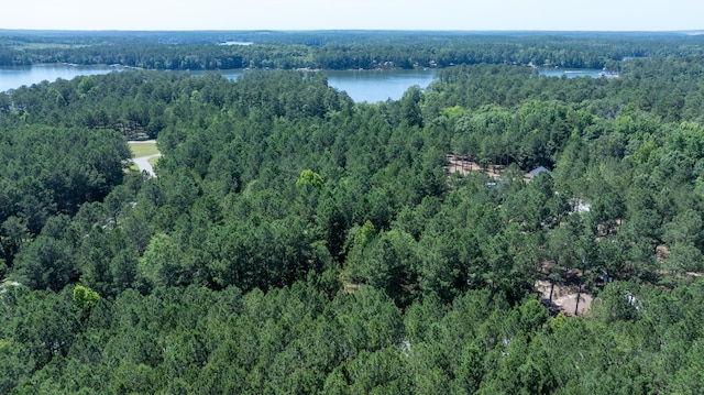 1108 Sunset Cv, Tignall, GA 30668 - photo 16