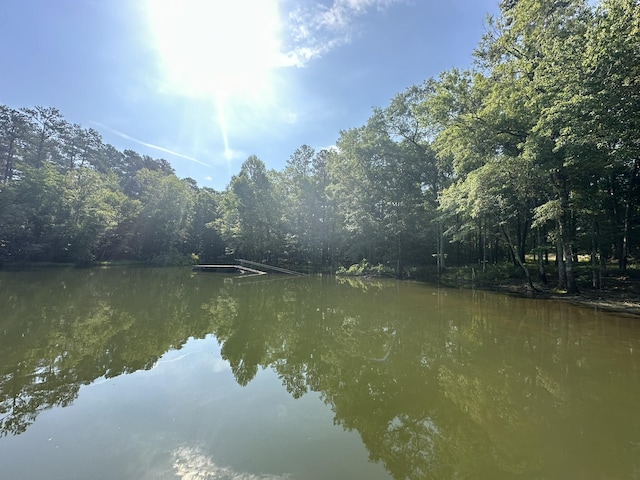 1108 Sunset Cv, Tignall, GA 30668 - photo 14