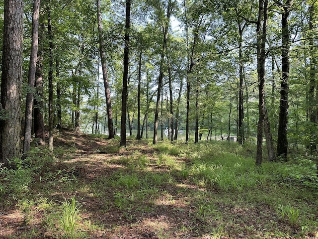 1108 Sunset Cv, Tignall, GA 30668 - photo 10