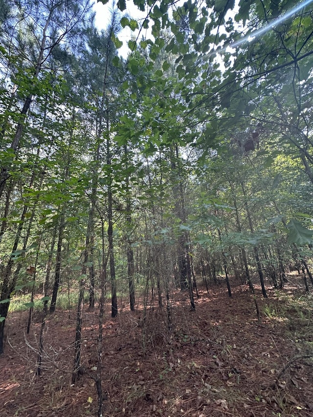 1108 Sunset Cv, Tignall, GA 30668 - photo 8