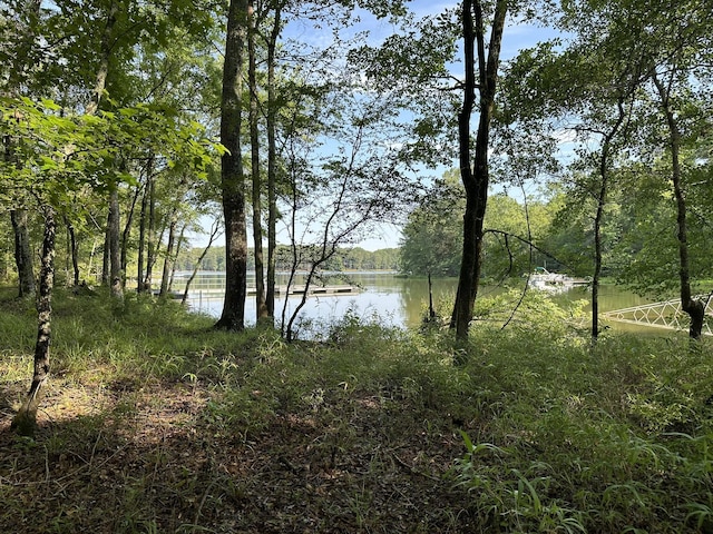 1108 Sunset Cv, Tignall, GA 30668 - photo 11