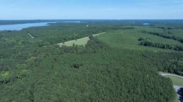1108 Sunset Cv, Tignall, GA 30668 - photo 28