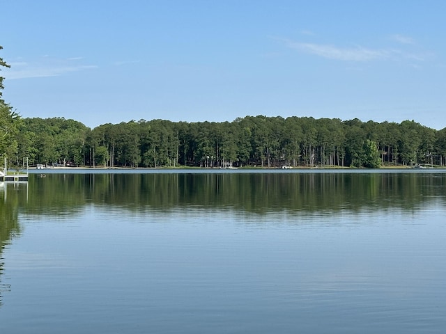 1108 Sunset Cv, Tignall, GA 30668 - photo 12