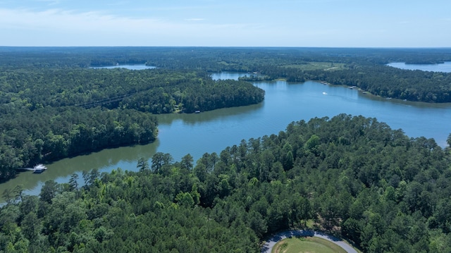 1108 Sunset Cv, Tignall, GA 30668 - photo 30