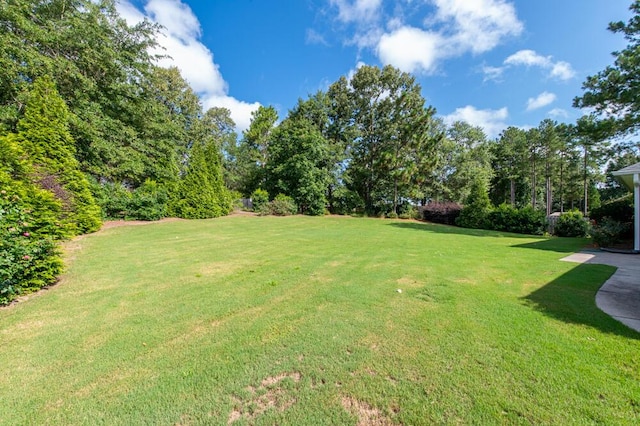 3046 Tarleton Ct, Beech Island, SC 29842 - photo 28