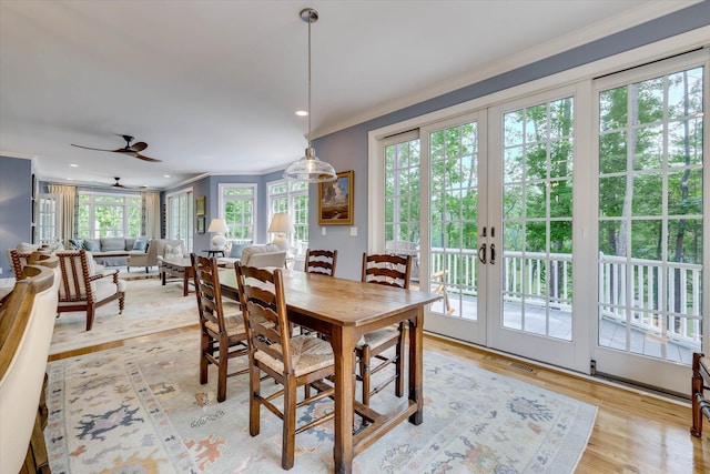 385 Lethe Rd, Mccormick, SC 29835 - photo 23