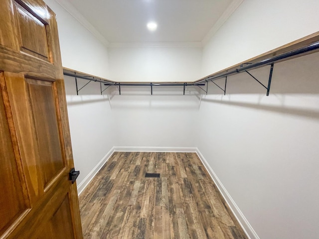 walk in closet featuring dark wood finished floors